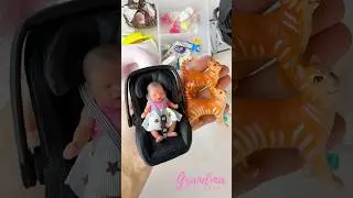 This Grandma Travels with Tiny Babies & Cats