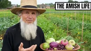 Amish Heirloom Crops: Forgotten Vegetables They Still Grow | The Amish Life