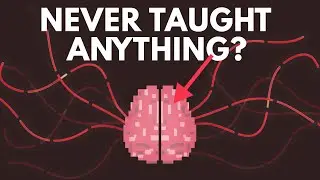 What If You Were Never Taught Anything?