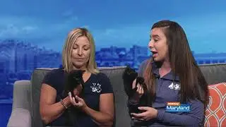 MDSPCA / BARCS