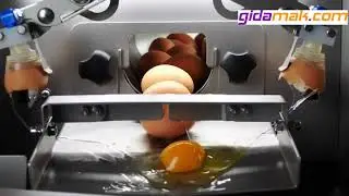 RZ-0 Yumurta Kırma Makinesi - Egg Breaker And Separator