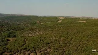 Μεγάλο Ρέμα (Κοτζά Ντερέ)