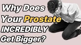 Enlarged Prostate (BPH): Why Does the Prostate Grow? Everything You Need to Know About Male Hormones