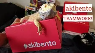 Akibento August 2017 TEAMWORK unboxing