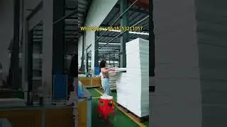 Inside the PP Hollow Sheet Workshop | How We Make Durable and Lightweight Plastic Sheets #pp