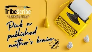 Meet AllyChat: Pick a Published Writer's Brain (24/7)