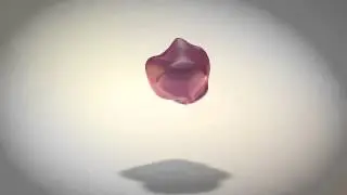The Boogie Blob