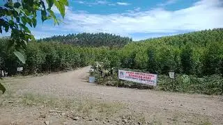 balap relly danau toba