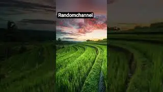 Beautiful photo #shortvideo #fypviral #reels #fypyoutube #nature