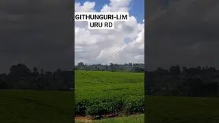 TEA ZONES,KENYA           #music #afrobeats #song #africa #mombasaroad