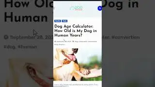 Dog Age Calculator - Check the description for the link!