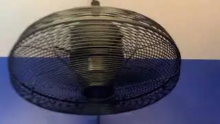 Thanksgiving special: 🦃🍁: Ceiling Fan Display in my Bedroom