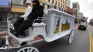 NY Funeral Horse Carriage Company - Kay White Francis Funeral - Harlem, NY - Unity Funeral Chapels