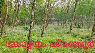 6 ഏക്കർ നിരപ്പായ സ്ഥലം