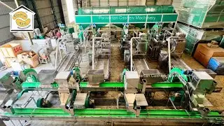 Full Automatic Cashew nut Processing plant setup / Cashew Nut Processing Machines