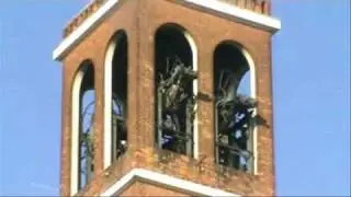 Le campane di Milano, Chiesa di Sant'Apollinare in Baggio - Distesa a 8 campane II