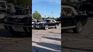 Классический Ford Mustang G.T.350 #классическиеавтомобили #маслкар #автомобили