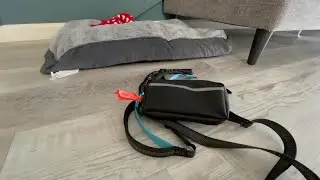 iYoShop Hands Free Dog Leash Review