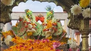Sri Sri Gaur Nitai Shobha Yatra at ISKCON Delhi