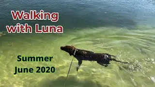 Walking With Luna - Summer June 2020