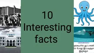 Interesting facts about the world #10facts #interestingfacts #tamilfacts #factstamil #tamilnewfacts 