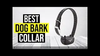 BEST DOG BARK COLLAR Amazon Aliexpress REVIEW