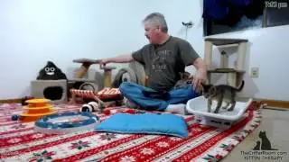 Reindeer Kittens - Weigh In 1-8