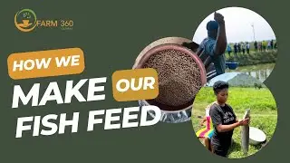 Farm360&rsquo;s In-House Fish Feed Production | How We Produce Our Feed | Trial Run Behind the Scenes!