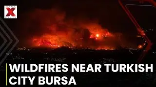 Wildfires Threaten Turkish City Bursa, Thousands Evacuated Amid Heatwave | NewsX World