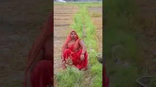 ताज़ा शहद 🤣 #akhileshcomedyshow #comedy #youtube #akhileshvlogcomedy