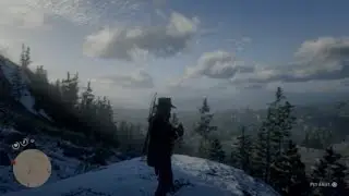pretty bird watching in the morning  Red Dead Redemption 2