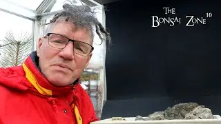 My Bonsai Landscape Challenge, Part 4A, The Bonsai Zone, Feb 2023