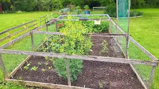 Indoor tropical plants and Cooking is live! update vegetable garden. quick live!