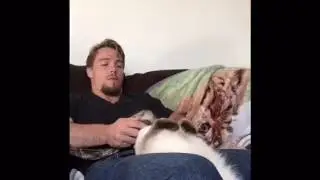 Cat Adjustment