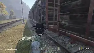 DayZ