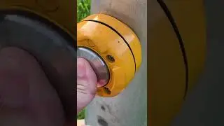 Sollog lets his Sun get hit by a Car