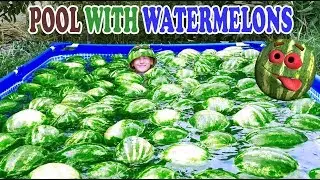 SWIMMING POOL WITH WATERMELONS | DIY