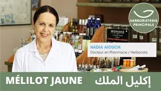 🌻 M&Eacute;LILOT JAUNE | Dr. Nadia Aiouch 👩🏻&zwj;⚕️ | HERBORISTERIE PRINCIPALE &reg; | CASABLANCA | MAROC 🇲🇦