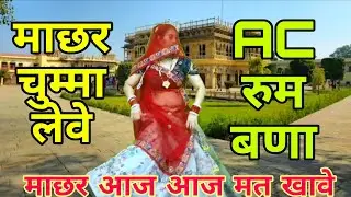 माछर 💋चुम्मा💋 लेवे तर्ज पर न्यू सोंग ।। माछर आज आज मत खावे पालर जार आई चू ।। Singer Mukut Gudla 