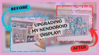 Organizing my Nendoroid collection with Daiso!