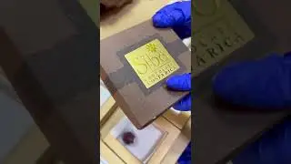 UPCYCLING CACAO HUSKS TO PAPER!