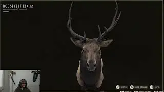 Way of the hunter BOW KILL???