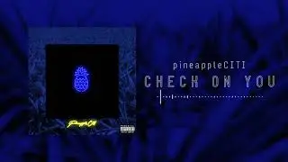 pineappleCITI - Check On You (Audio)