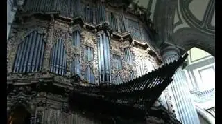 Mexico Cathedral Organ