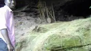 Backpacking Africa. Bugalla Island, Uganda.  part 2, bad monkey