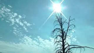 UPDATED June 16th, 2020 by Forrest Fenn (Netflix greedy update in description, May 2, 2025)