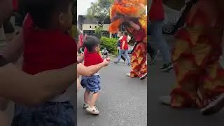 Kasi angpao barongsai samsi perayaan cap go meh imlek 2023 #capgomeh #capgomeh2023 #barongsai #short