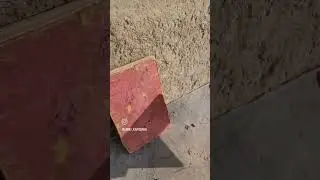 MSD .45 Champion Pistol Penetration  Test .