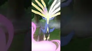 Pokemon Master EX - Professor Sycamore & Xerneas -  Sync Move Animation