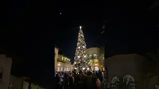 #christmas #christmastree #disney #disneychristmas
